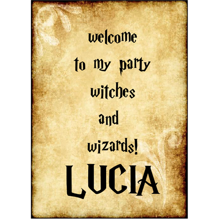 Afiche Pers. Harry Potter